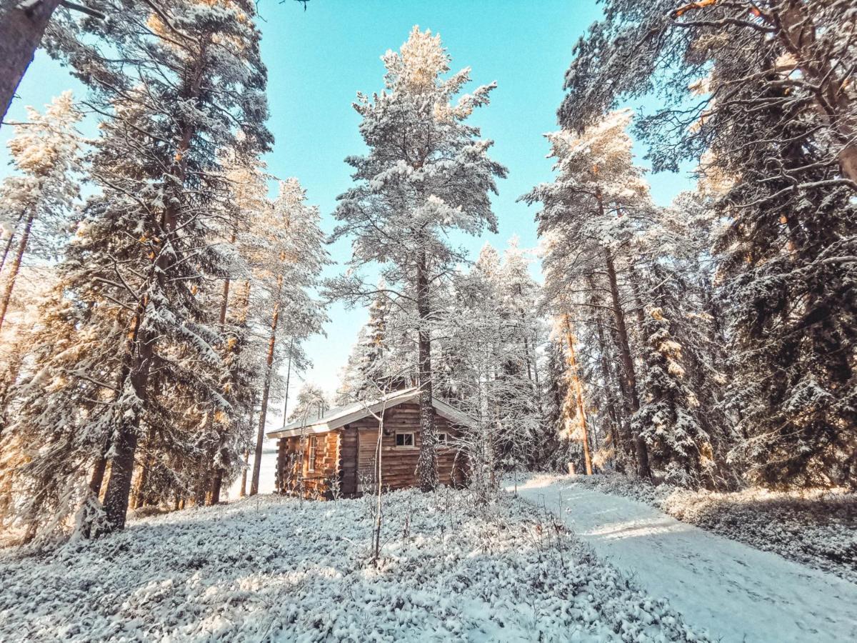 Taigaschool Eco Hotel Virrankyla Zewnętrze zdjęcie