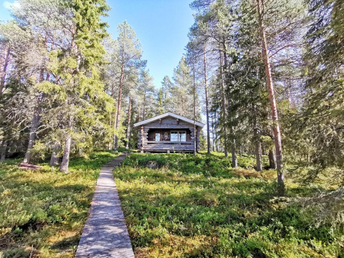 Taigaschool Eco Hotel Virrankyla Zewnętrze zdjęcie
