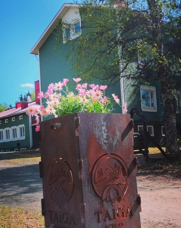 Taigaschool Eco Hotel Virrankyla Zewnętrze zdjęcie